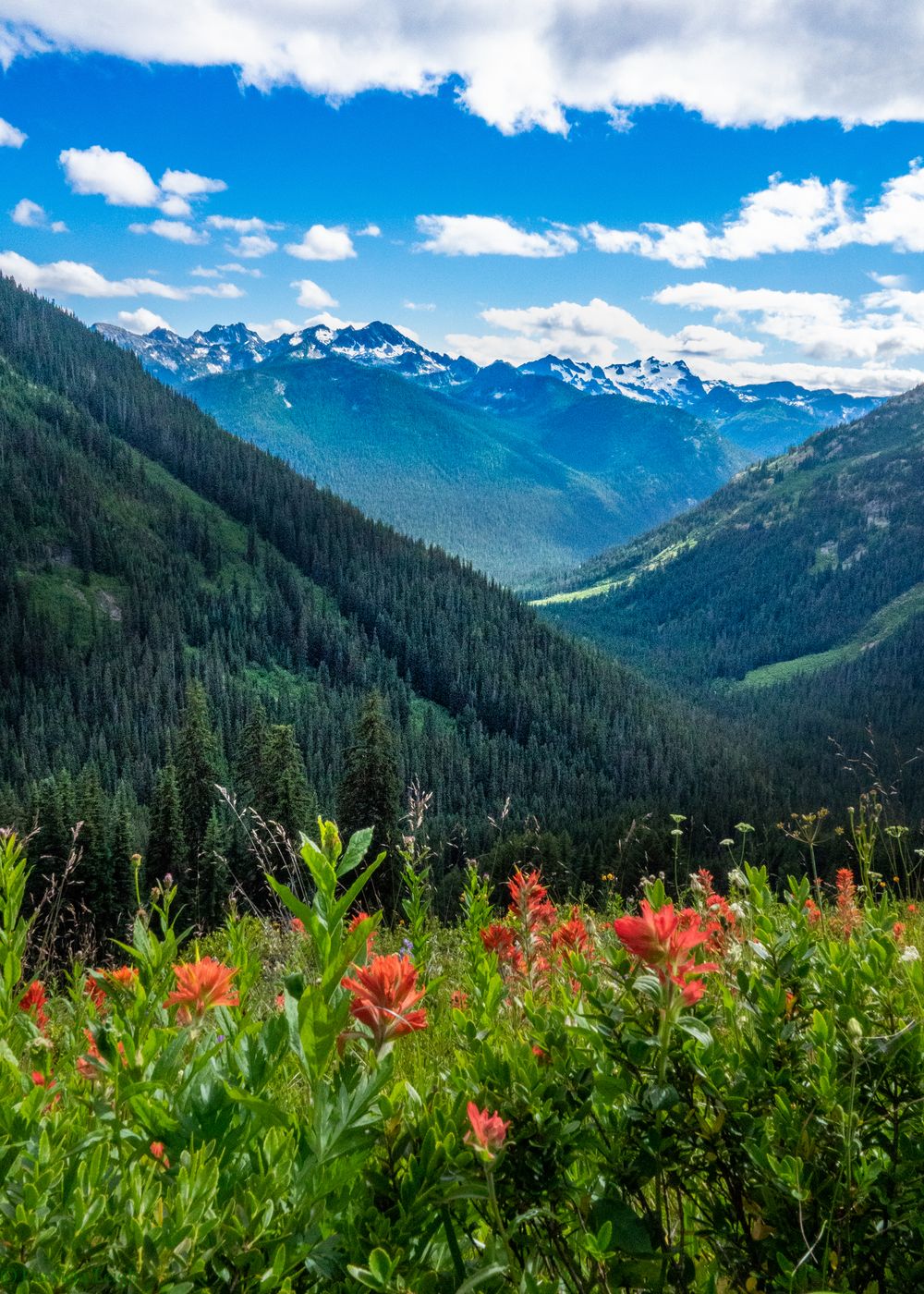 View from Cooper Pass Trail