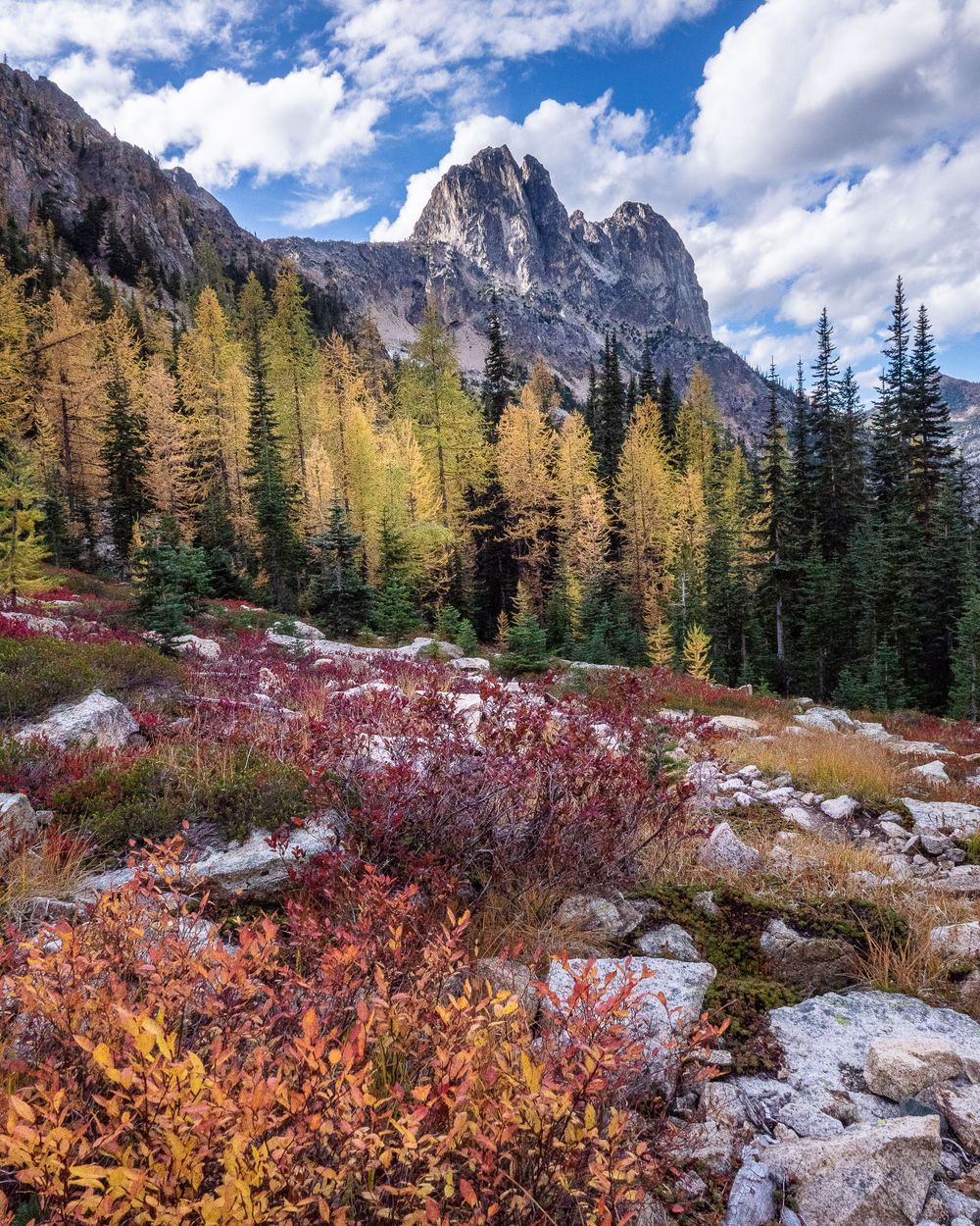Early Winter Spires Fall Color