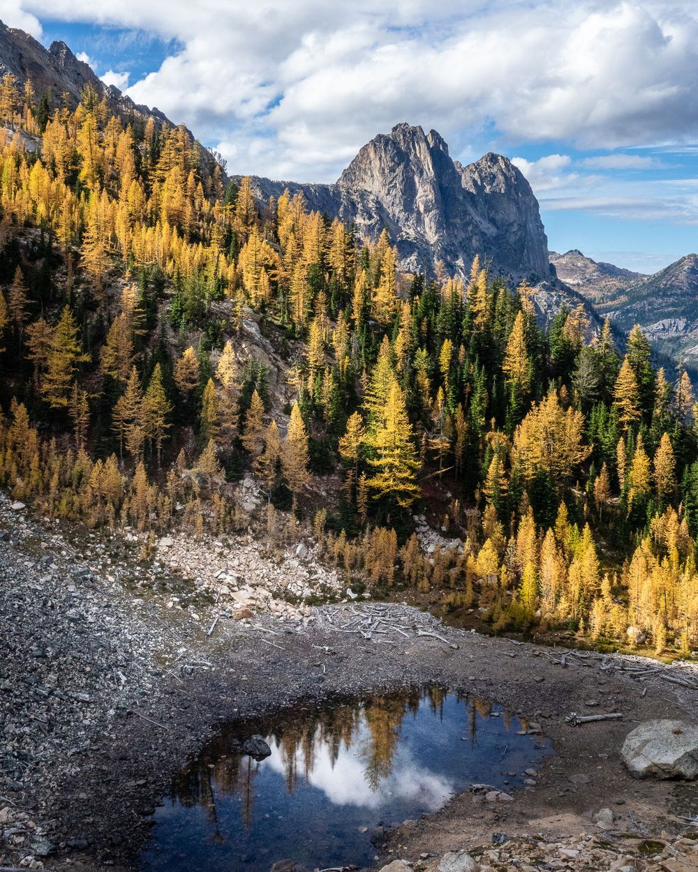 Early Winter Spires Fall Reflections