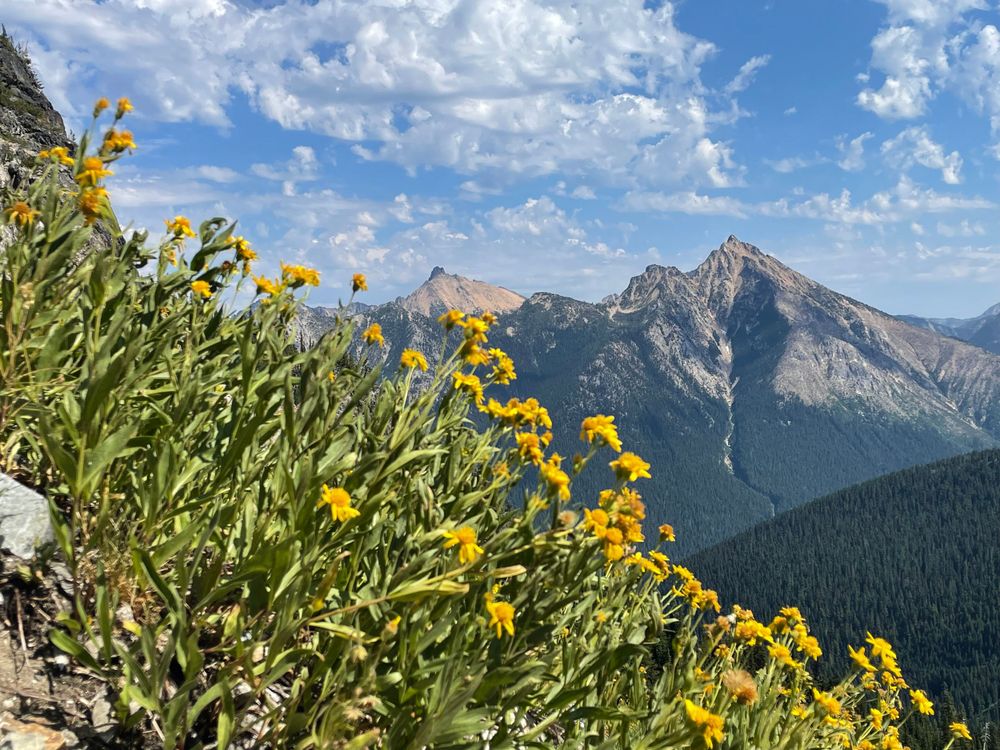 Easy Pass Trail