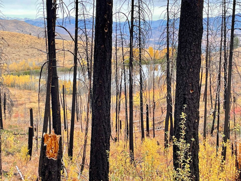 Aspen Lake Trail