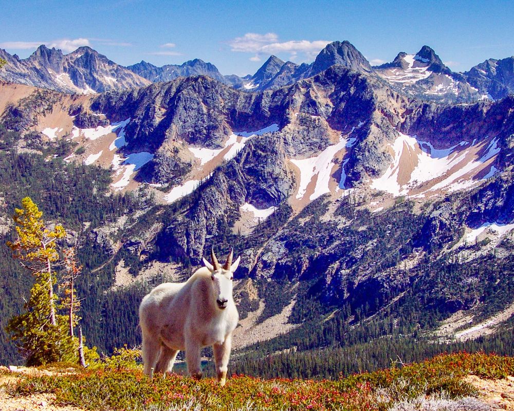 View from Cutthroat Pass
