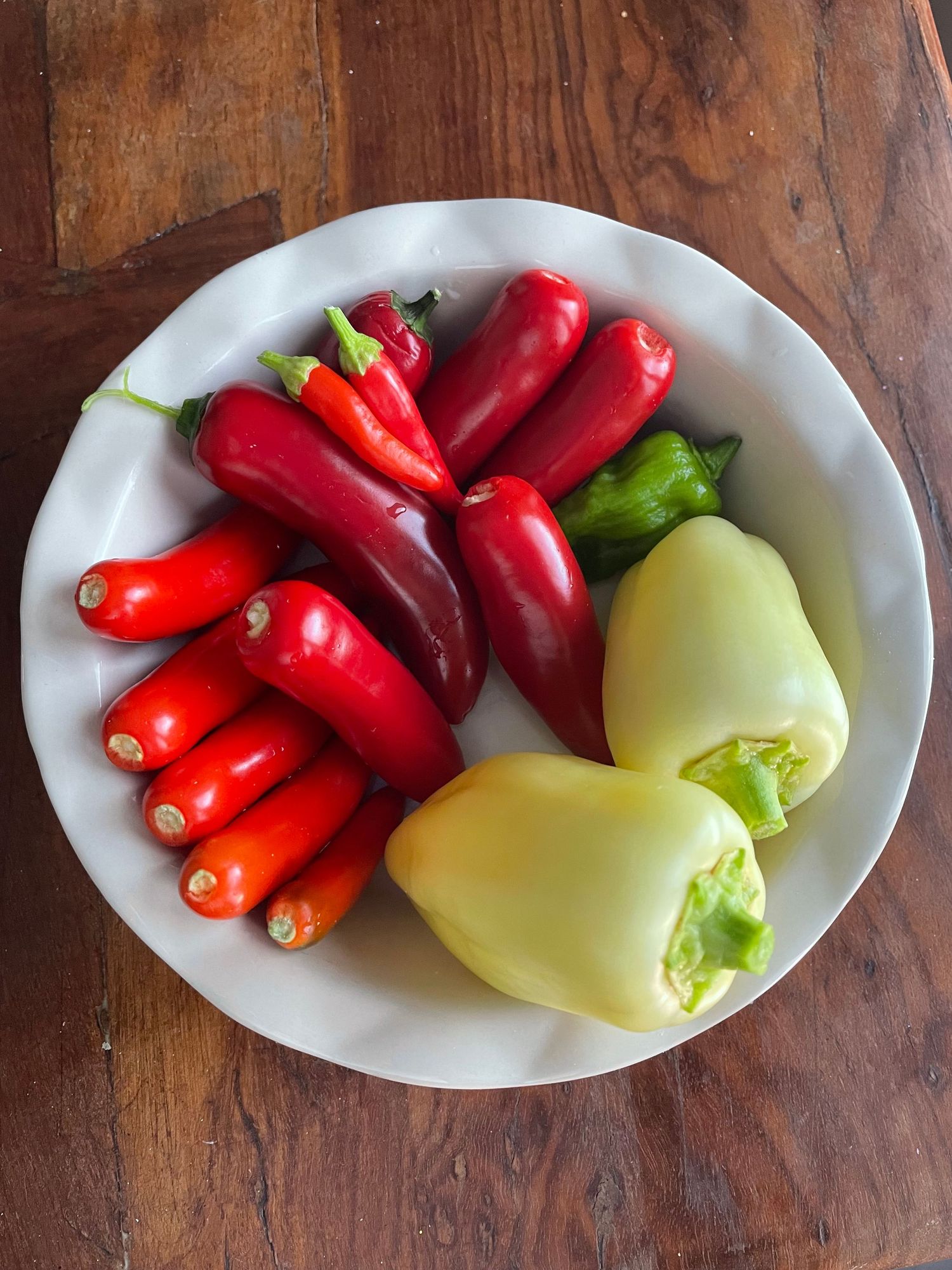 hot peppers from the garden, chili peppers, serrano, jalapeno, backyard garden