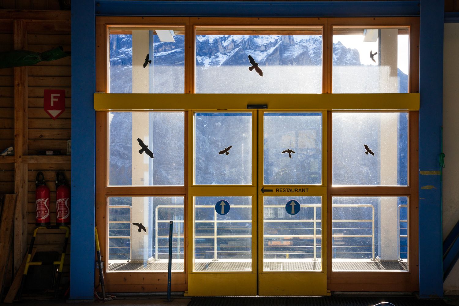 Birds silhouetted against a snowy mountain backdrop through a cabin window with wooden frames.
