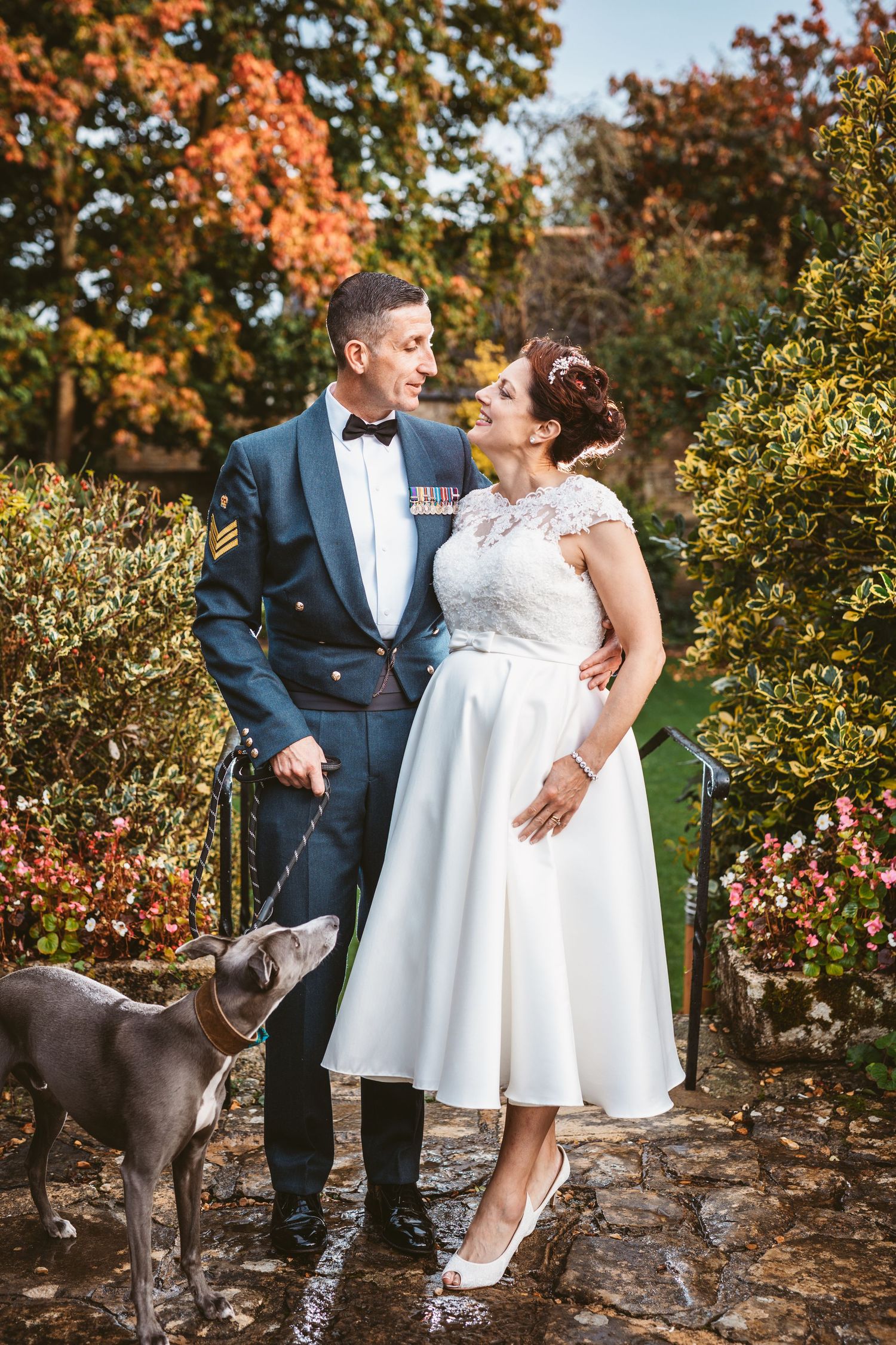 An autumn wedding portrait with a grey dog joining the couple among fall foliage.
