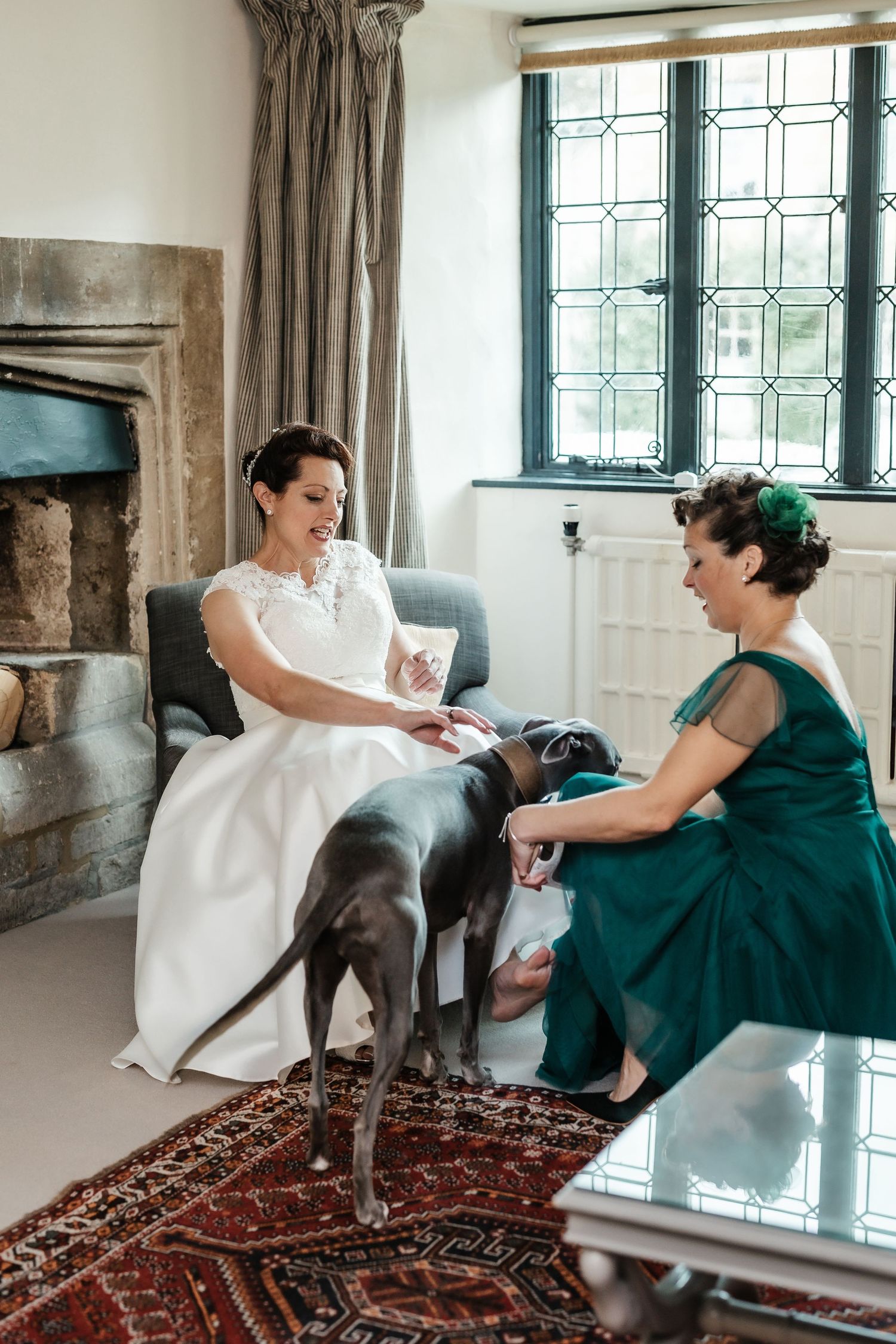 Wedding scene with a grey dog joining the preparations in an elegant room with leaded glass windows.