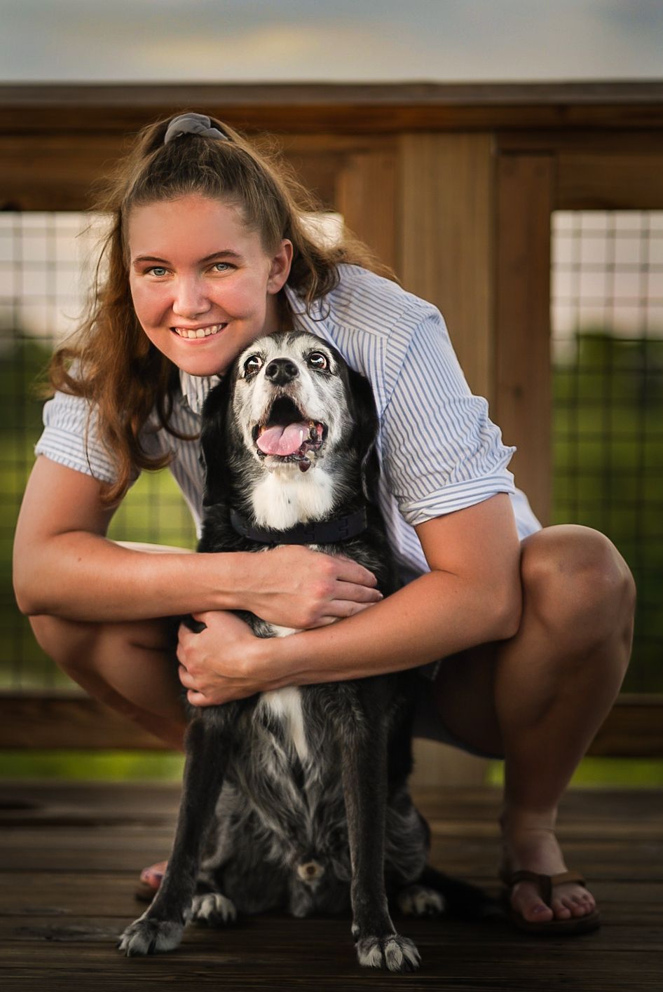 dog pet portraits adorable pet photography breeder pet fur baby palm harbor clearwater safety harbor dunedin