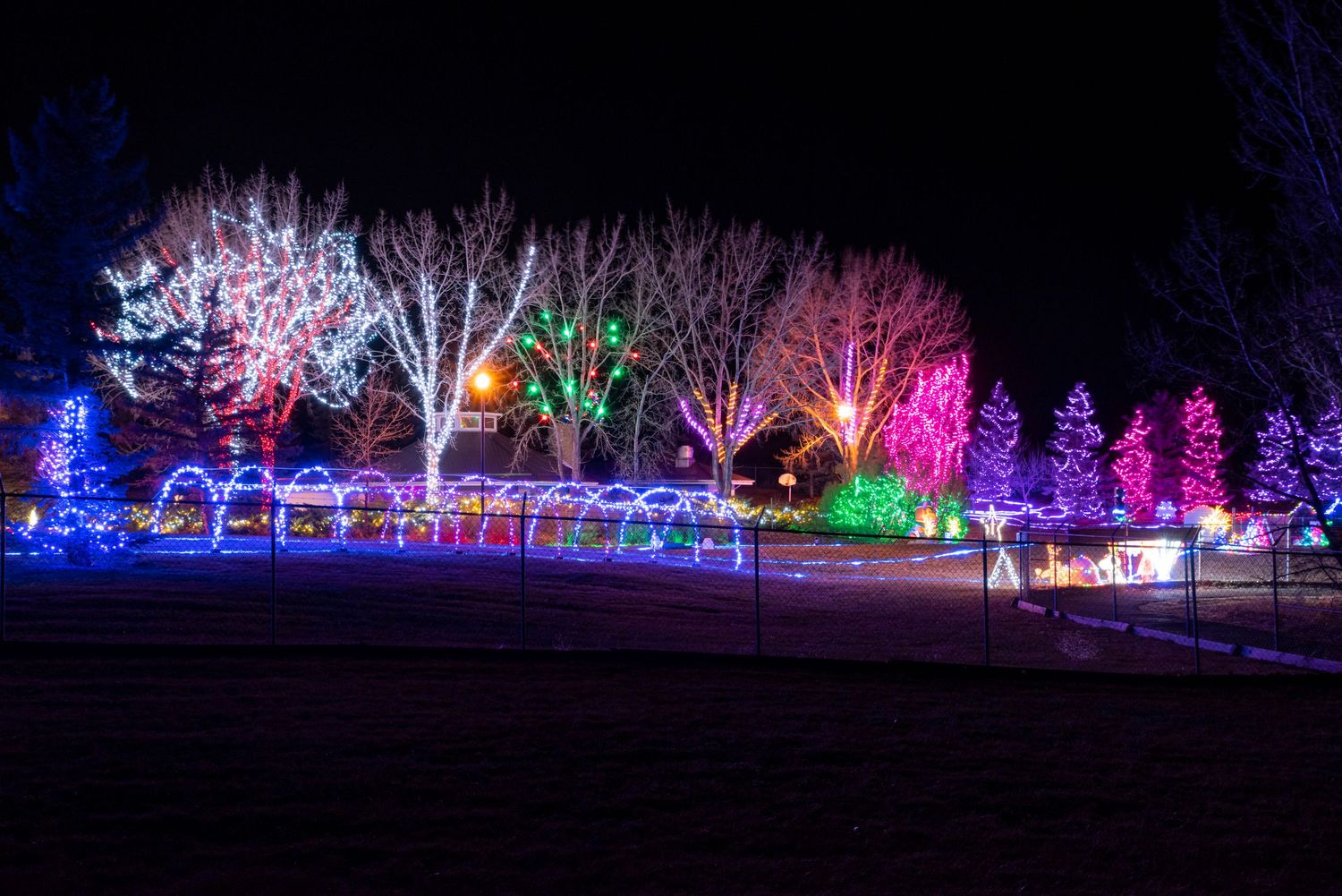 Colorful holiday light display illuminating trees and decorations in winter landscape.