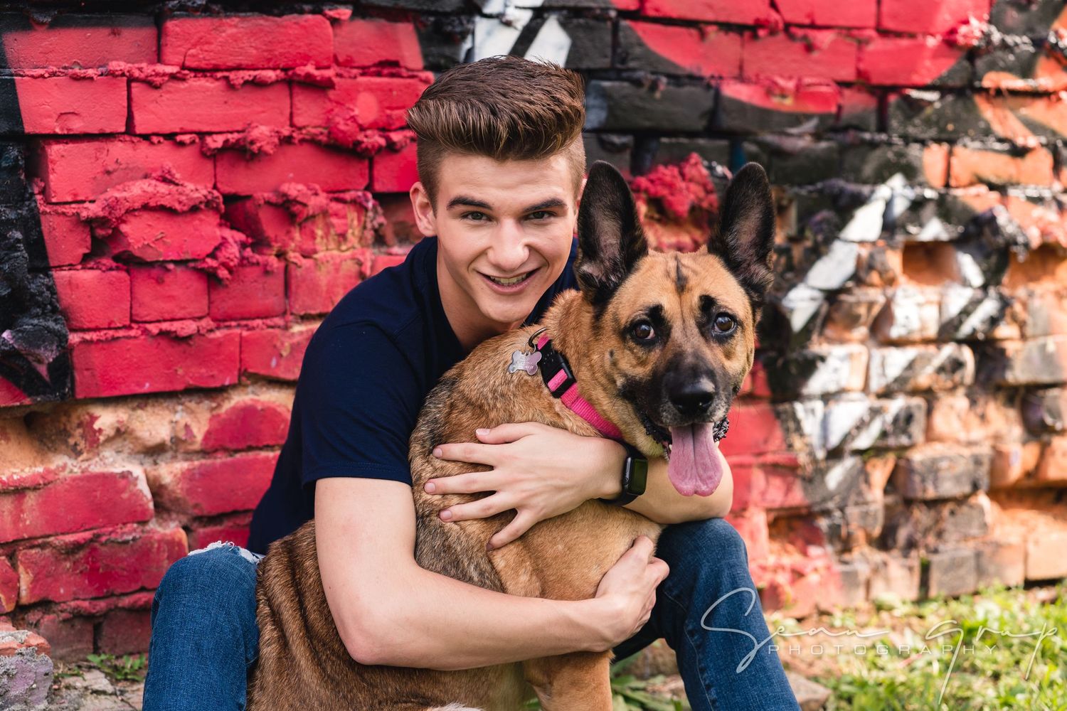 Series of portraits with a German Shepherd dog against a red brick wall.