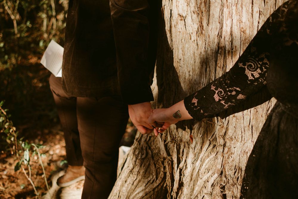 Close-up shot of interlocked hands against dark clothing and tree bark backdrop.