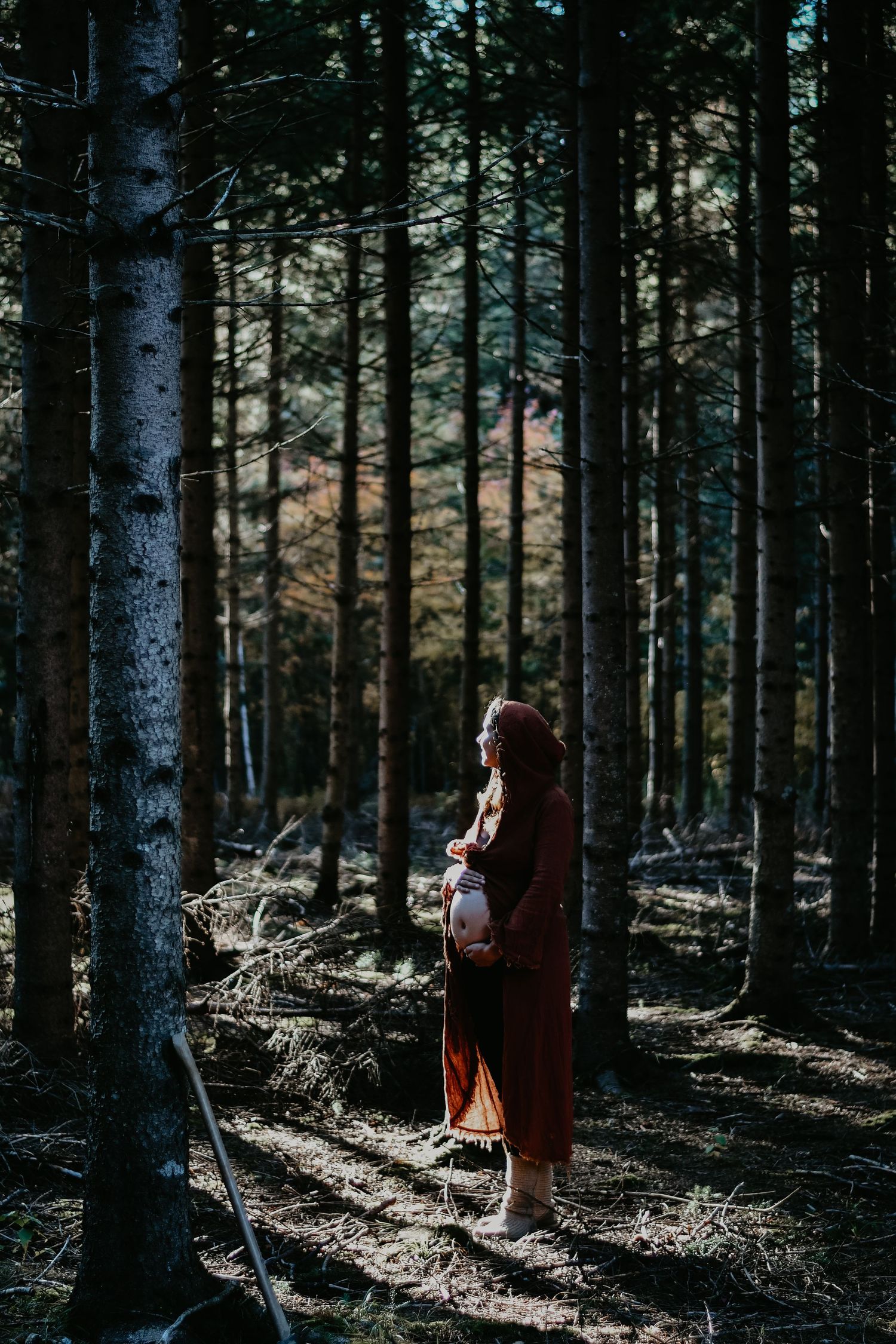 A figure in a burgundy coat stands among tall evergreen trees in dappled sunlight.