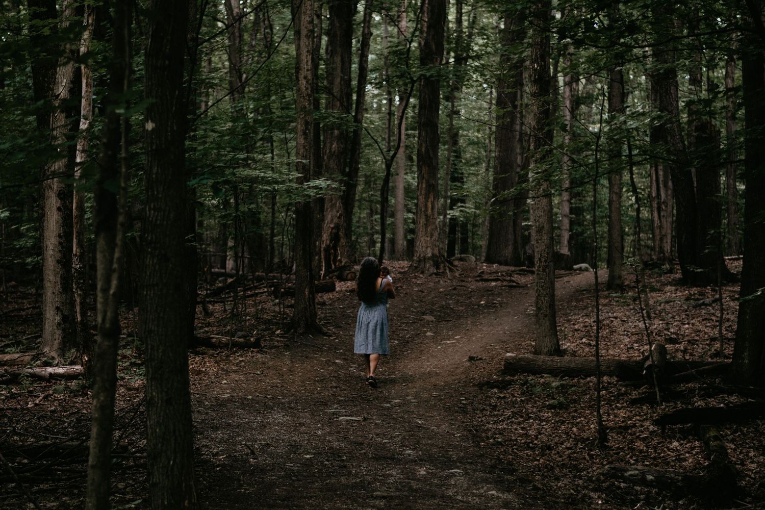 A small figure in a dress stands alone on a wooded path surrounded by tall trees.