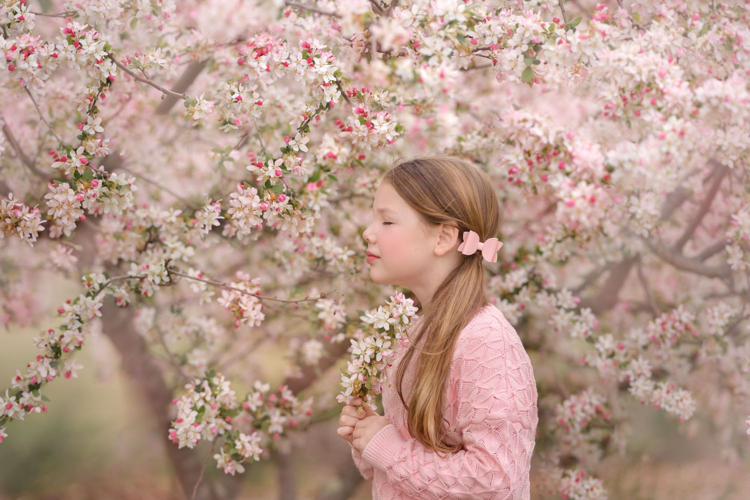 Spring Blossom Photography