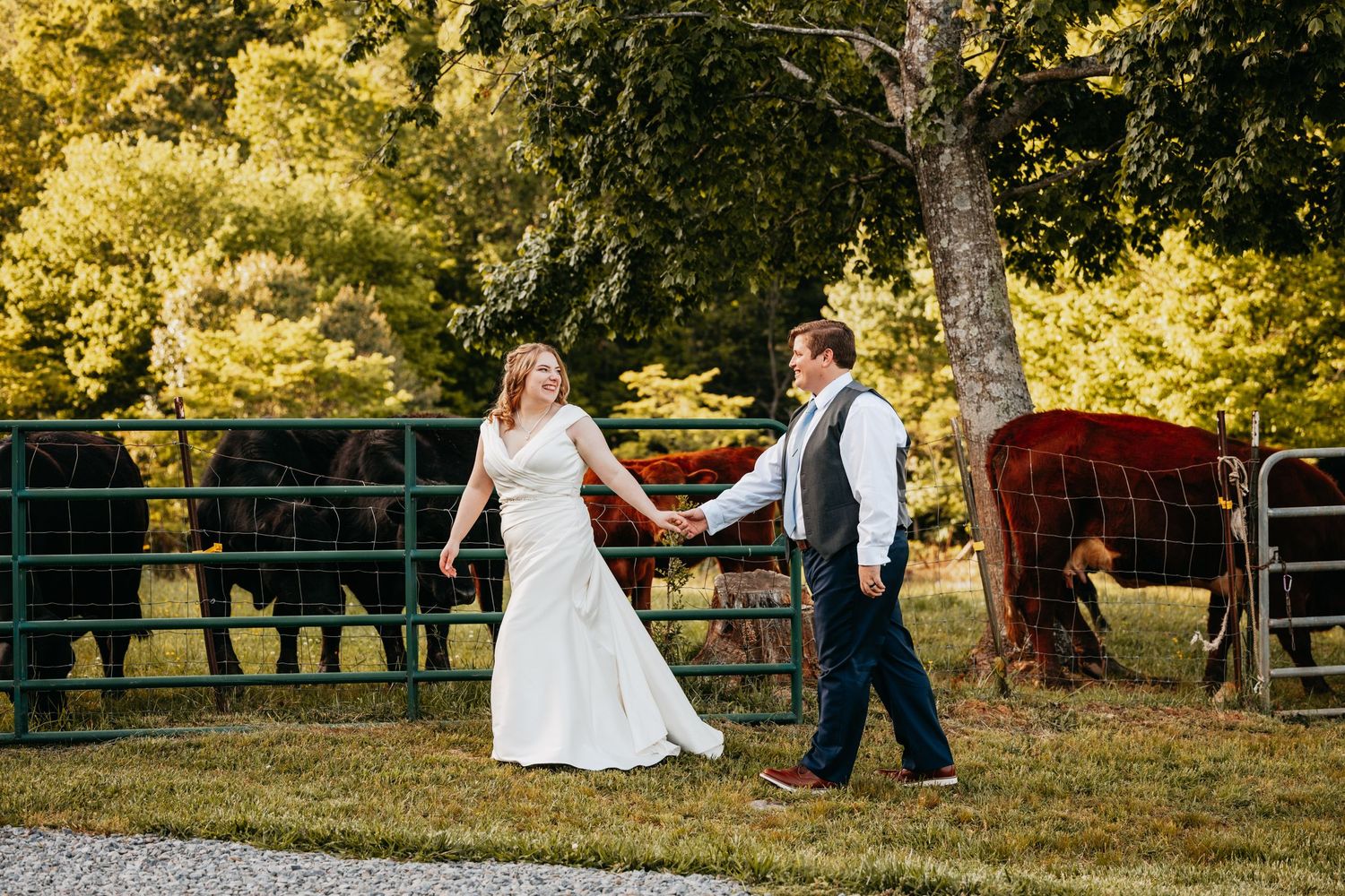 Newlywed couple walks hand-in-hand along a fence with horses grazing in the background.