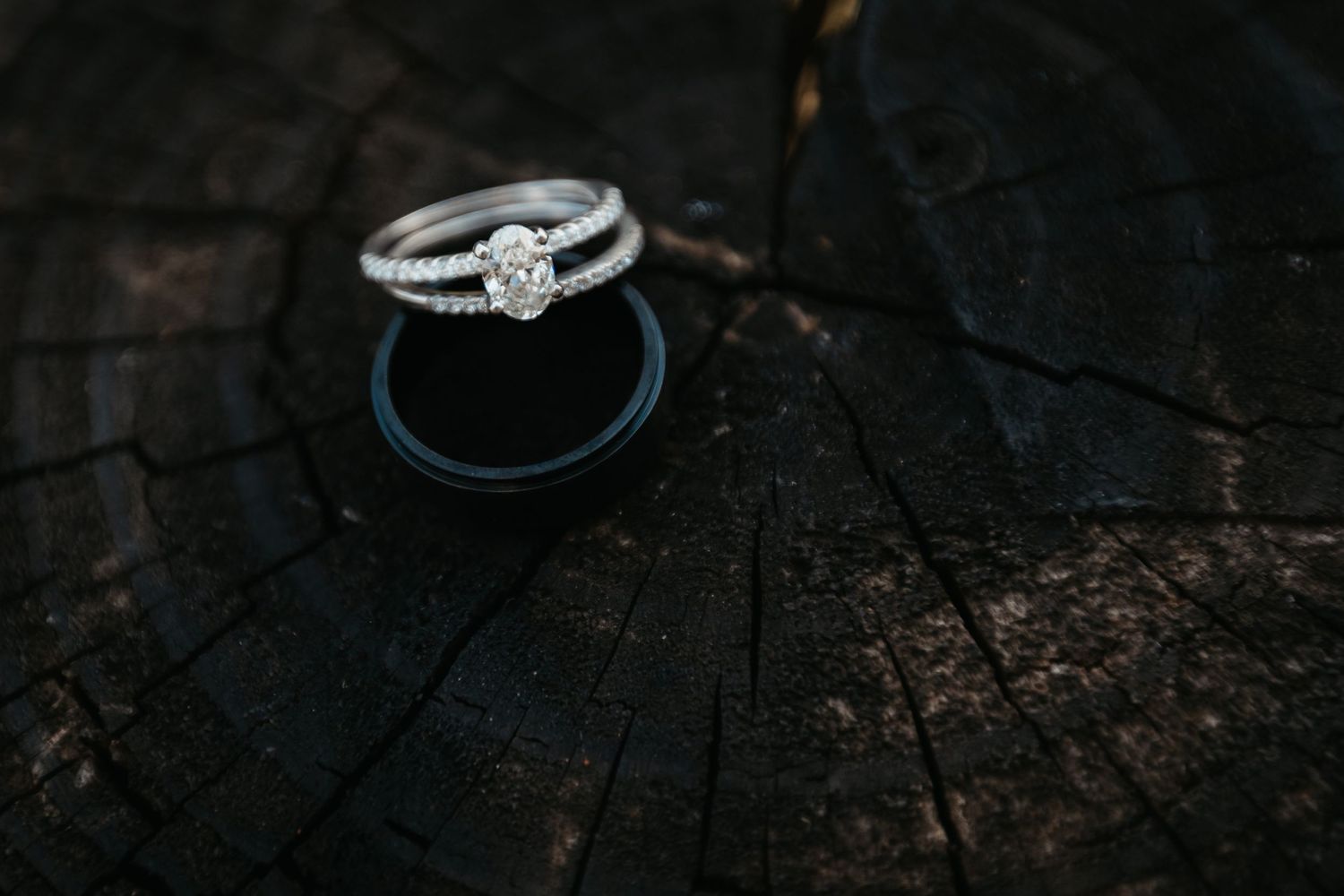 Diamond engagement ring and wedding band displayed on a dark wooden stump.