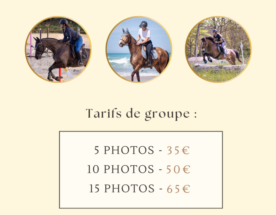 photographie équestre stage et sortie de groupe lot et garonne