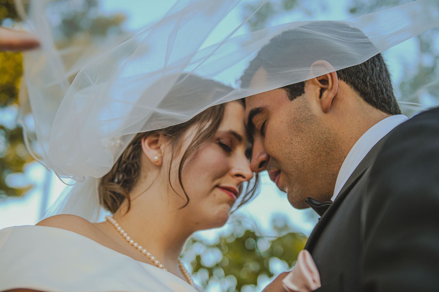 Bride and Groom Under Veil