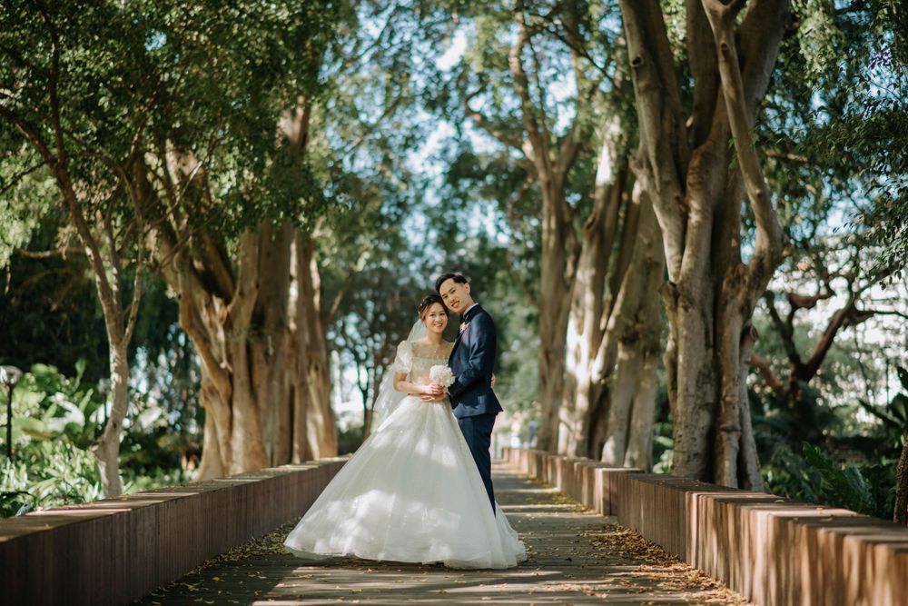 A couple poses on a wooden boardwalk surrounded by beautiful mature trees in a park setting.