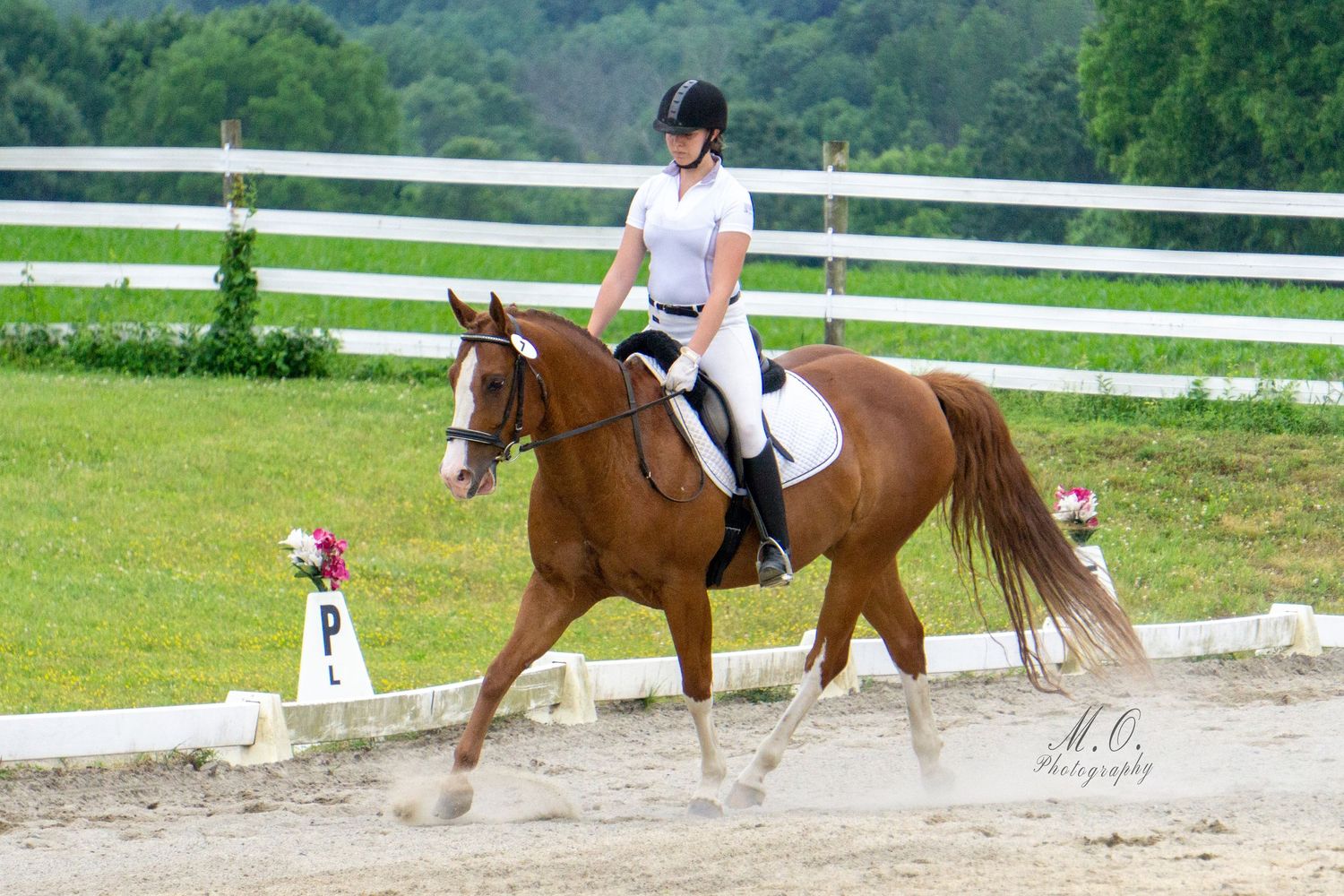 Equine photographer, Lehigh valley, black backgrounds, mo equine photography, horse and rider sessions, pet photography