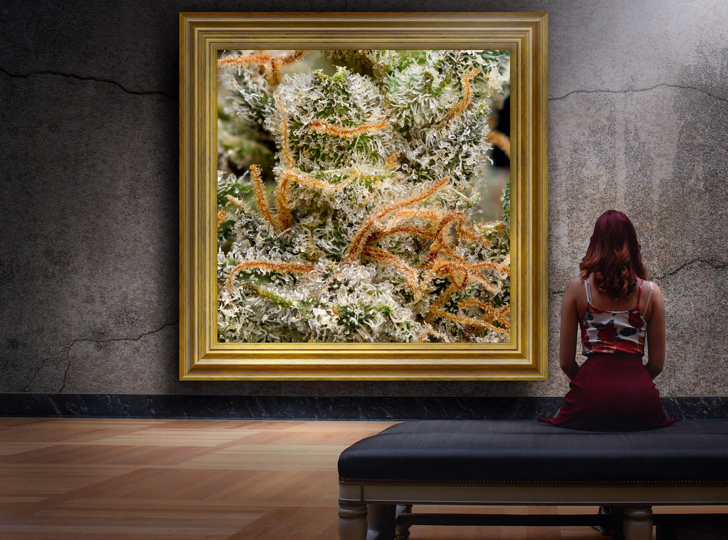 CannaPrints.ca - Large Format Commercial Artwork. Custom Cannabis Displays Ideal for Modern Spaces