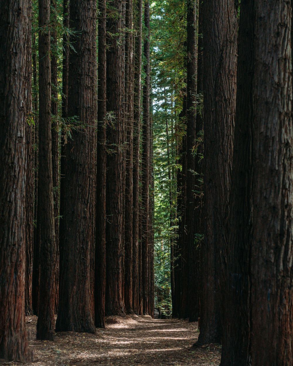 Spurlo Style Photography | Paul Spurling Photographer | Melbourne