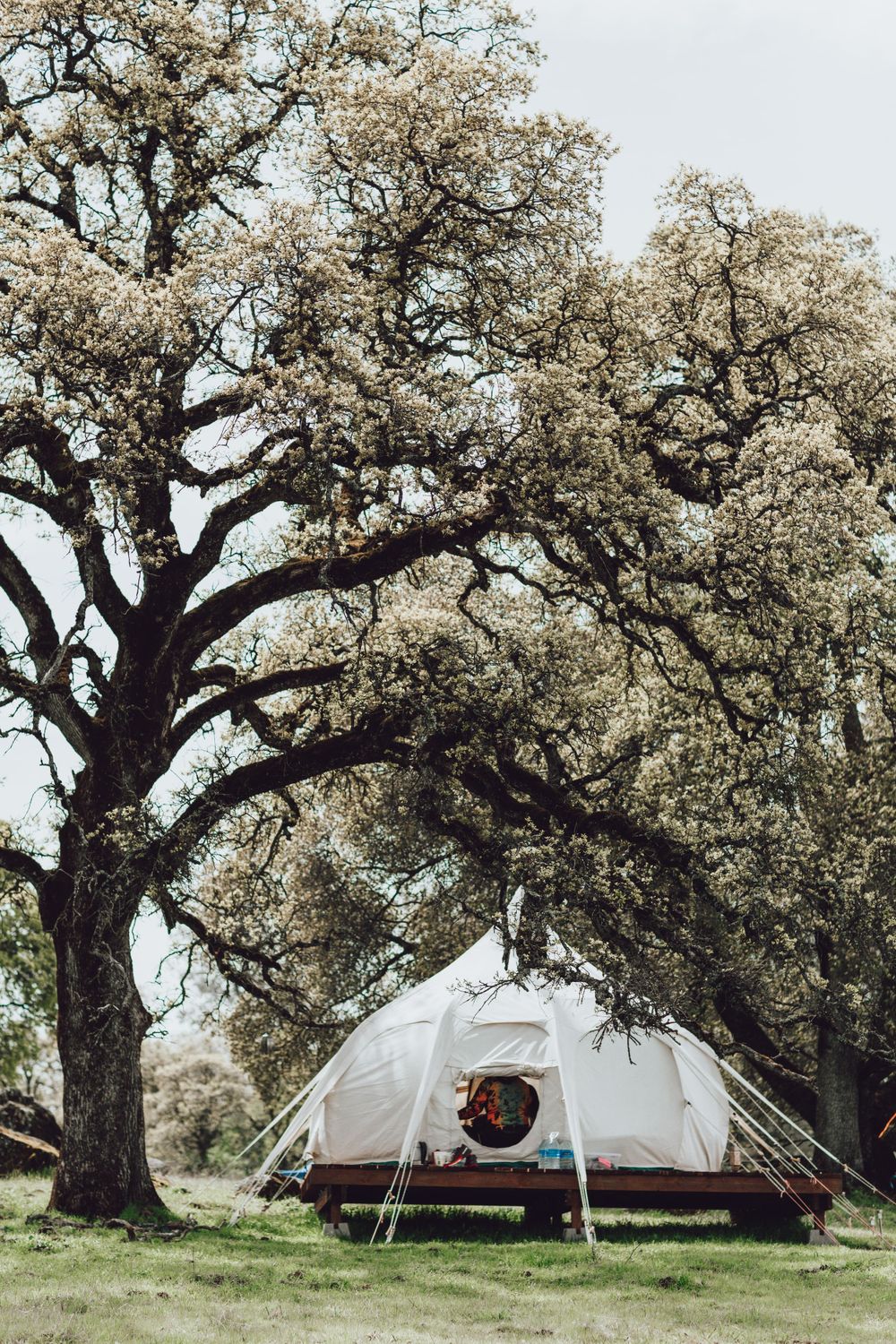 Auburn-wedding-photography-festival-campout-wedding-sacramento-wedding-photographer