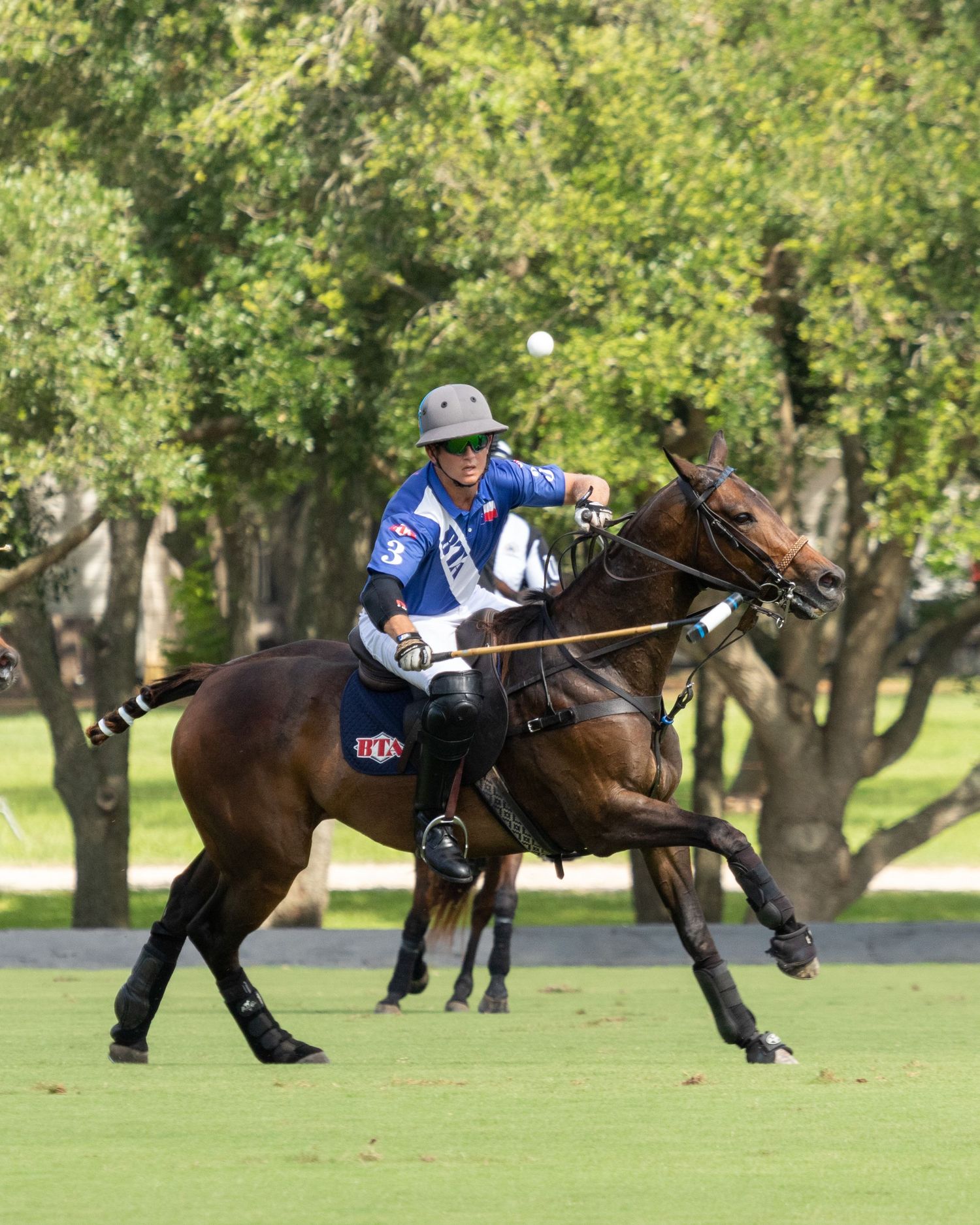 Polo