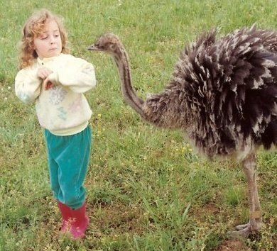 young girl flinches from ostrich pecking her