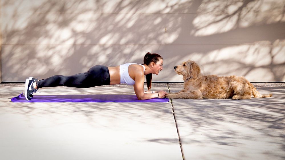 Person in plank position exercising with their golden retriever on a sunny patio.