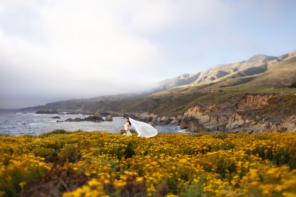 Bridal in Big Sur California