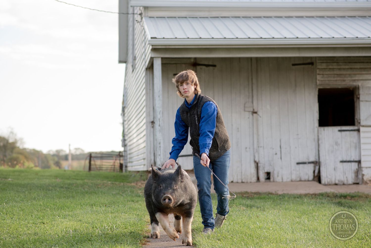 A spotted pig walks with its handler outside a white barn building on a farm.
