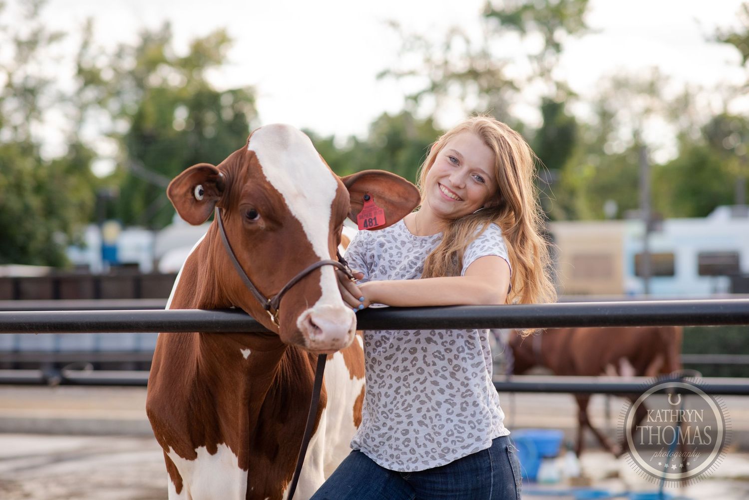 A brown and white dairy cow receives affection from someone in a patterned shirt at a farm event.