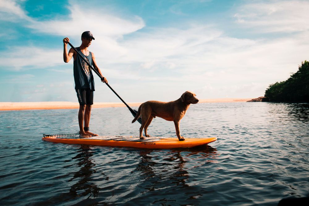 man and dog standing on paddle board in lake