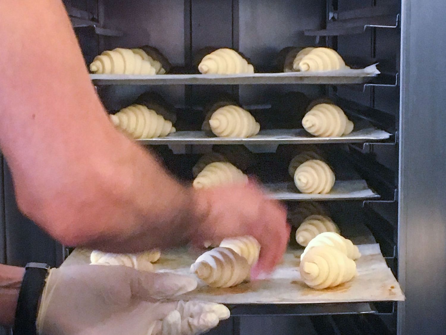 Croissants In The Prover-Retarder Machine - Photo by © Reka Csulak