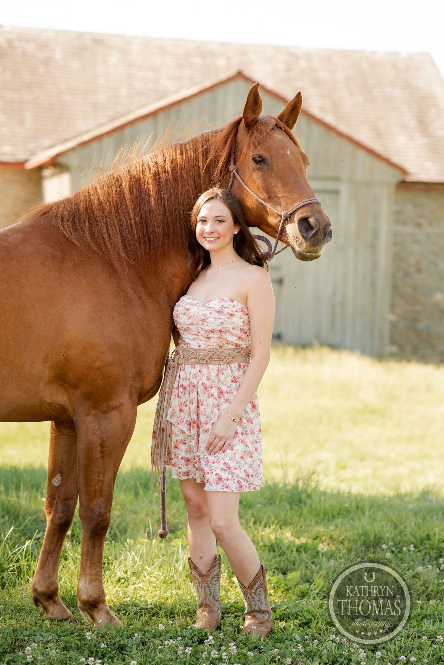 A majestic brown horse poses with its rider near a weathered barn on a sunny day.