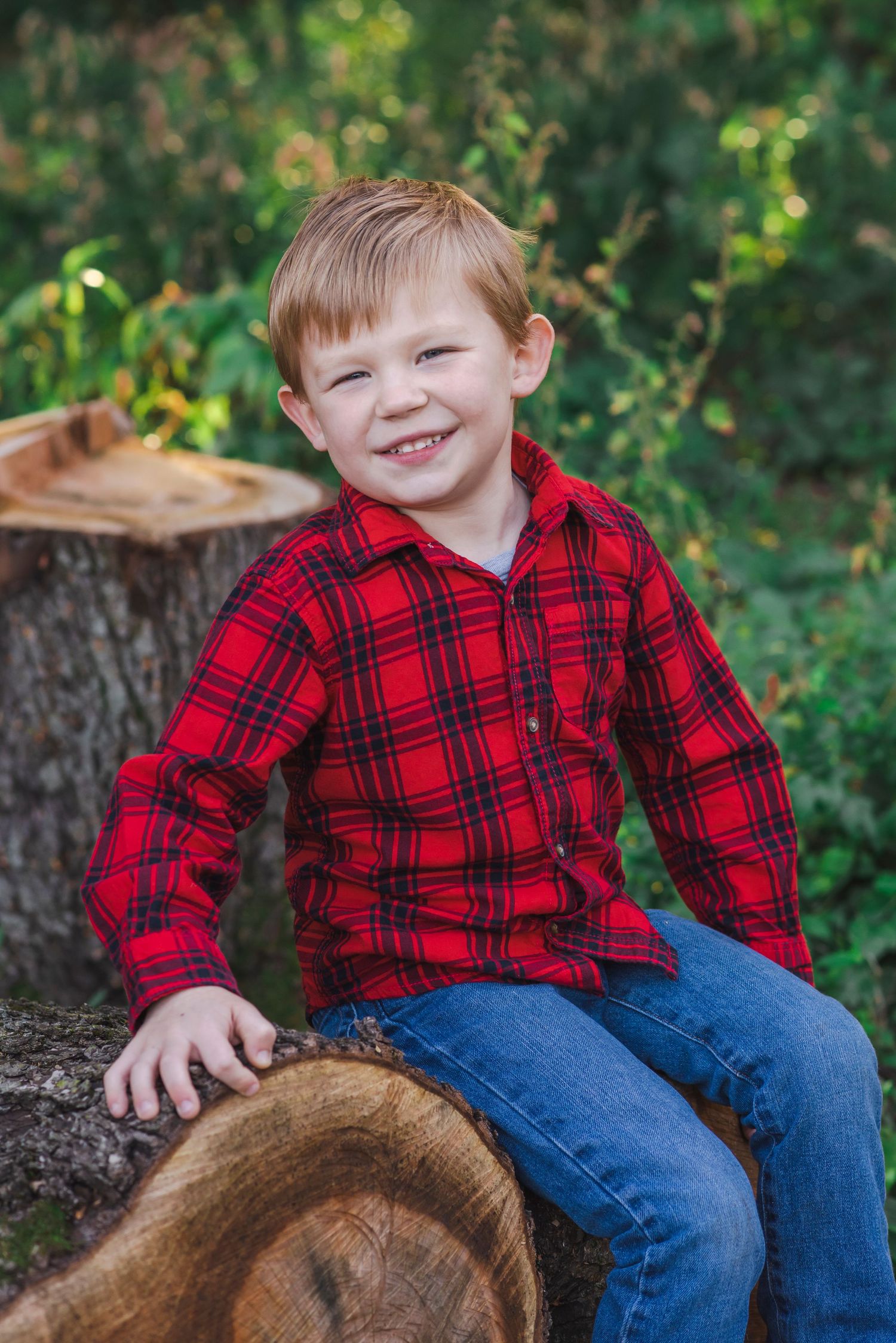 boy Christmas fall pose logs tree farm photo