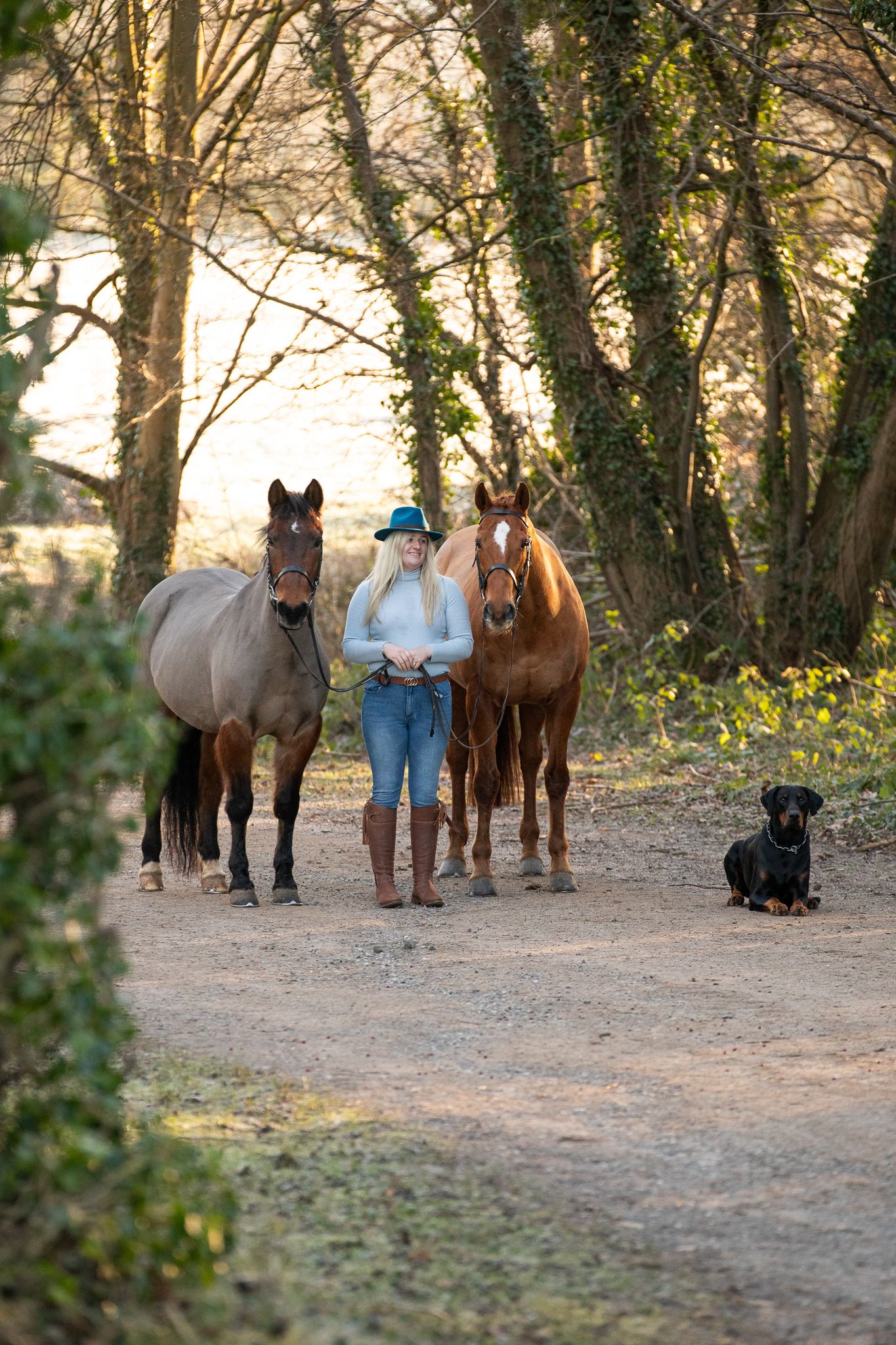 Two horses and their handler gather on a wooded trail with a black dog.