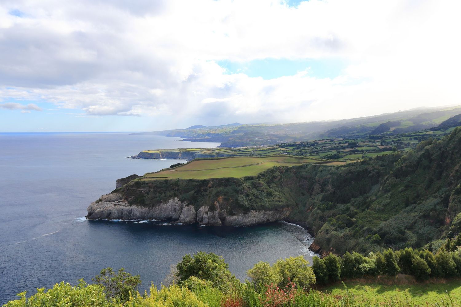 Stunning coastal view of green cliffs and a sheltered bay with agricultural fields in the distance.