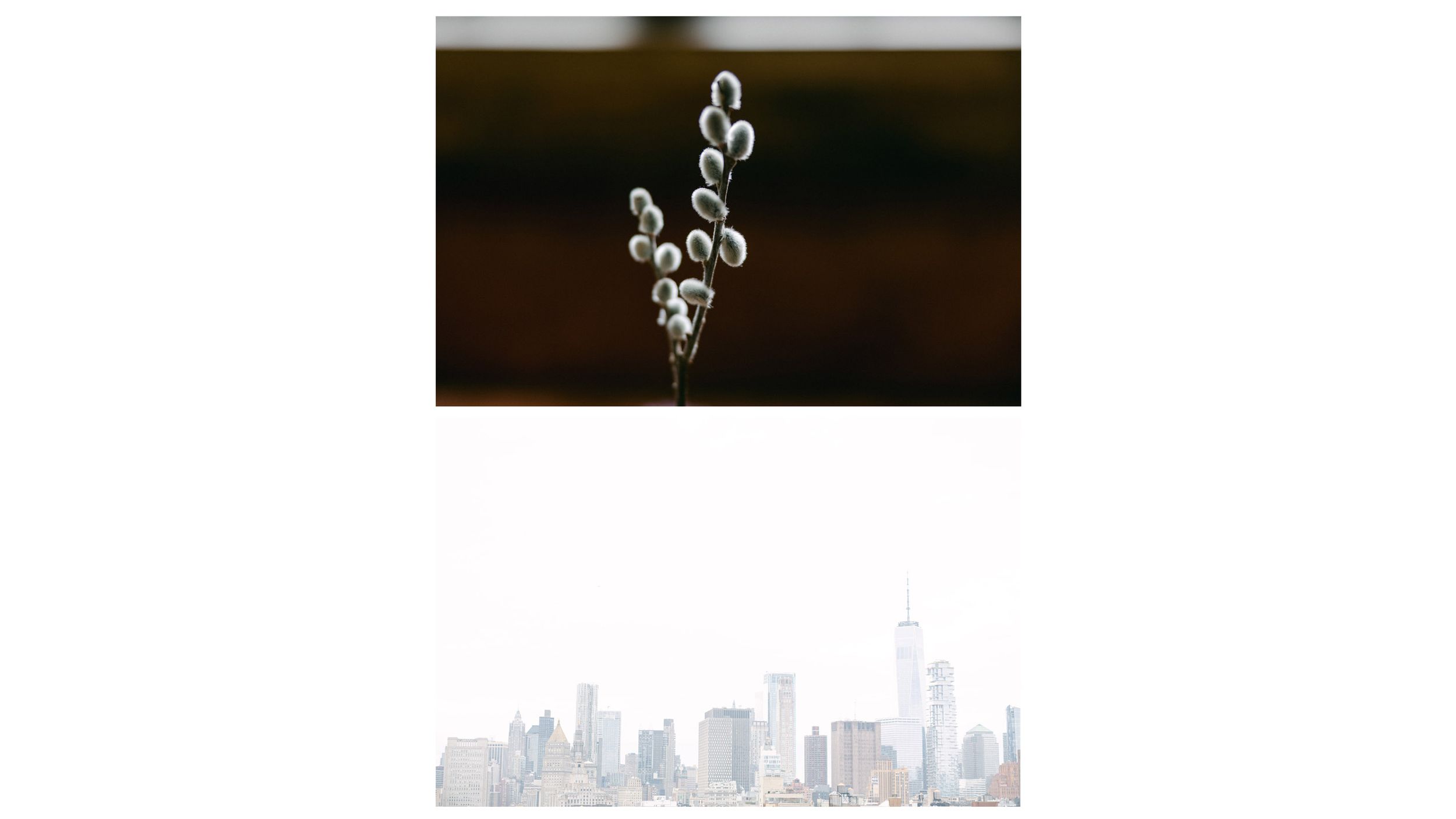 Crystal chandelier hanging against dark background with cityscape silhouette below.