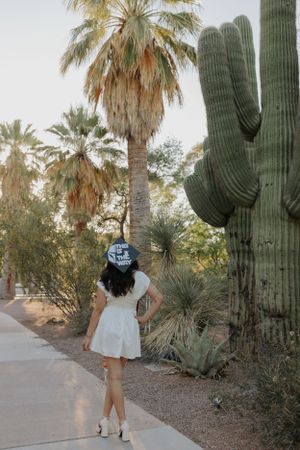 Desert landscape with palm trees and saguaro cacti during a graduation photoshoot.