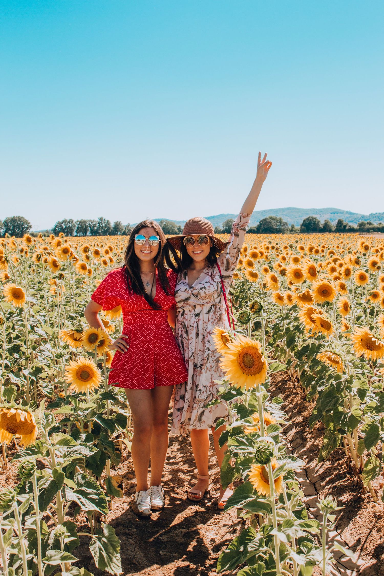 Friends posing joyfully in a vibrant sunflower field on a bright summer day.