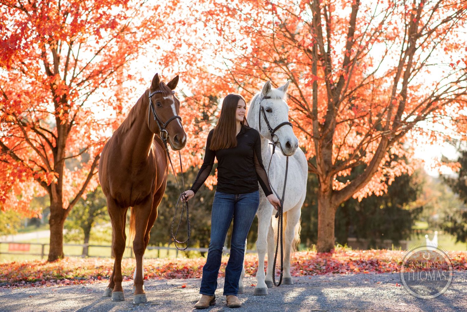A peaceful autumn scene with two horses and their handler surrounded by orange fall foliage.