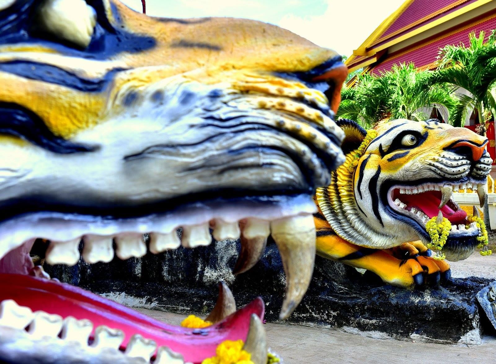A tiger statue in Mountain Buddha Temple in Ao Nang, Thailand