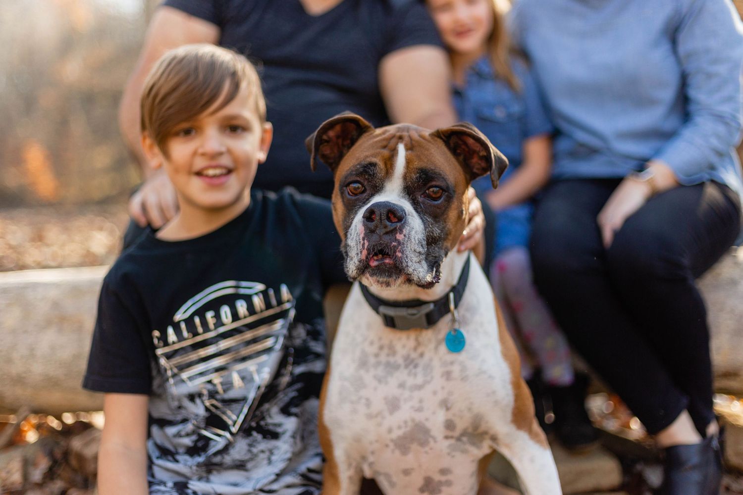dog at a family photo session