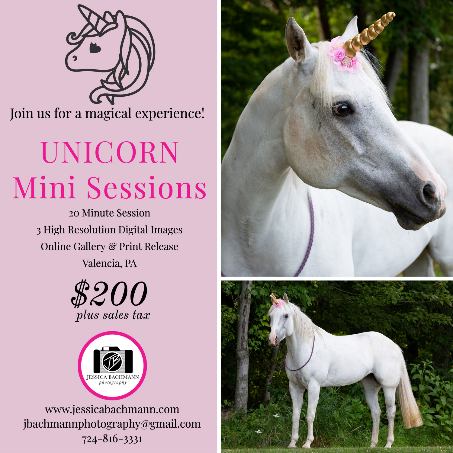 Portrait Photographer - Unicorn Mini Sessi
Jessica Bachmann Photography in New Orleans, Louisiana, and Pittsburgh, PA