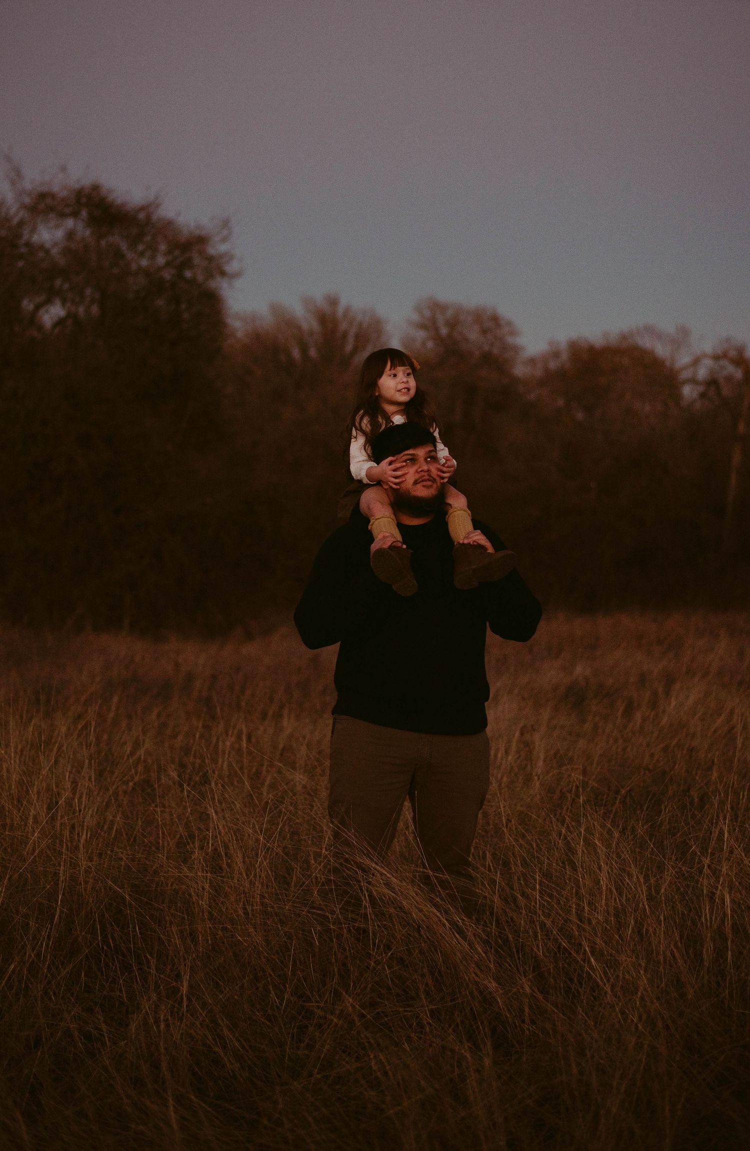 A silhouette lifting a child up high against a dusky sky in a grassy field.