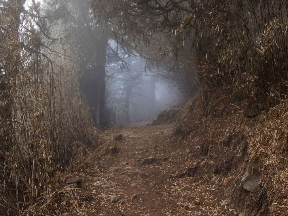 Foggy hike near Phedi, Nepal