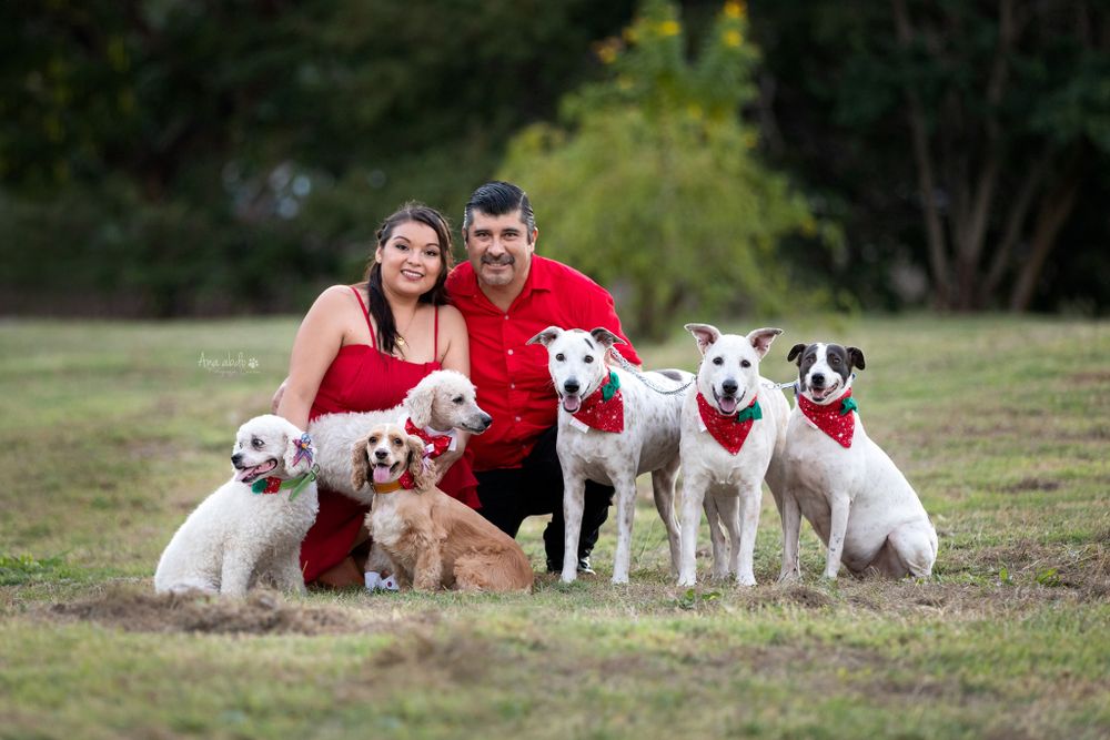 Fotografía canina