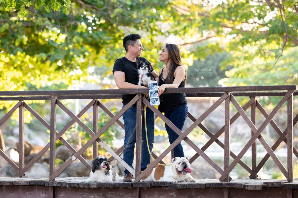 Fotografía canina