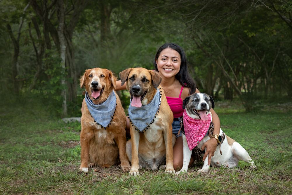 Fotografía canina